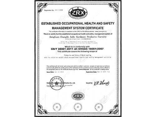18000职业健康安全管理体系认证证书英文版